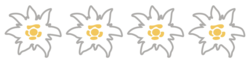 4_Edelweiss